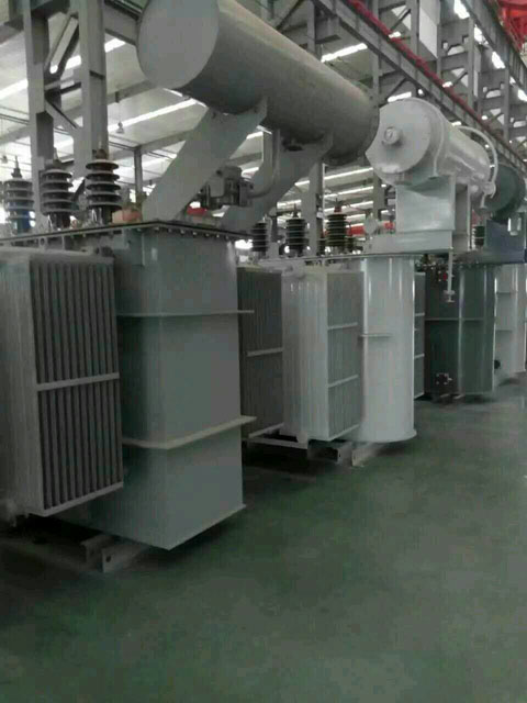 林周S11-6300KVA油浸式变压器